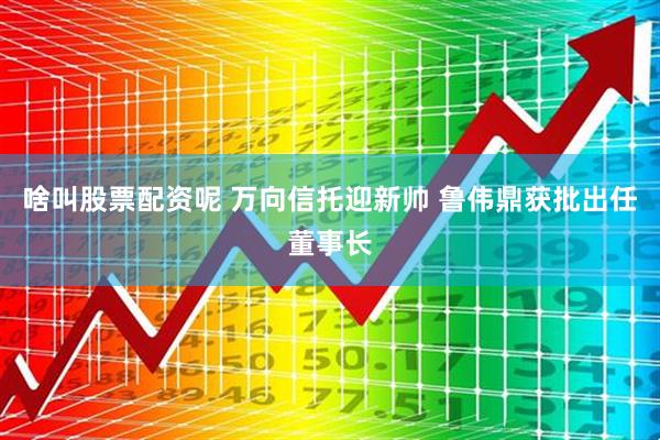啥叫股票配资呢 万向信托迎新帅 鲁伟鼎获批出任董事长