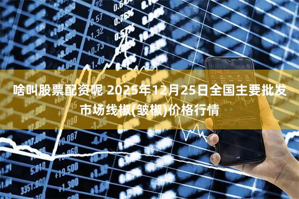 啥叫股票配资呢 2025年12月25日全国主要批发市场线椒(皱椒)价格行情